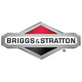 Briggs Stratton