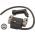Bobină De Aprindere Briggs & Stratton OEM 712447