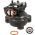 Carburator Briggs & Stratton OEM 592361