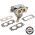 Carburator Briggs & Stratton OEM 796258