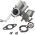Carburator Briggs & Stratton OEM 796447