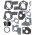 Set De Reparații Carburator Briggs & Stratton 495606 