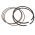Set Segmenți Briggs & Stratton OEM 590523