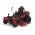 Tractor De Tuns Gazon Toro TimeCutter ZXM6075 MyRide