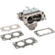 Carburator Briggs & Stratton OEM 796258