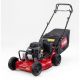 Mașină de tuns iarbă Toro ProLine 22291